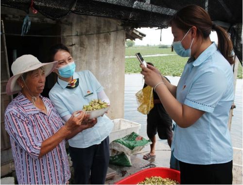 泰州姜堰 农品直通 能量大,疫情下应季农副产品销售不再难